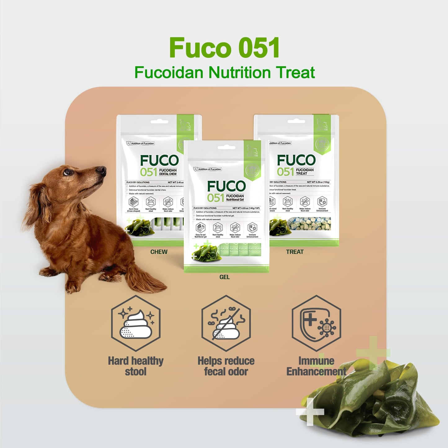Fabrechew Fucoidan Functional Supplement Chew for Dogs - Immune System & Digestive Health Booster with Seaweed Superfoods Treats