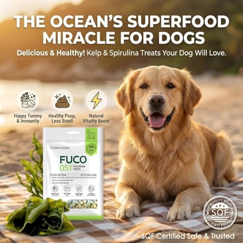 Fabrechew Fuco 051 Fucoidan Treat for Dogs – Immune & Digestive Health, Stool & Odor Support, Antioxidant, Superfood with Spirulina & Kelp, 5.29 oz (150g)