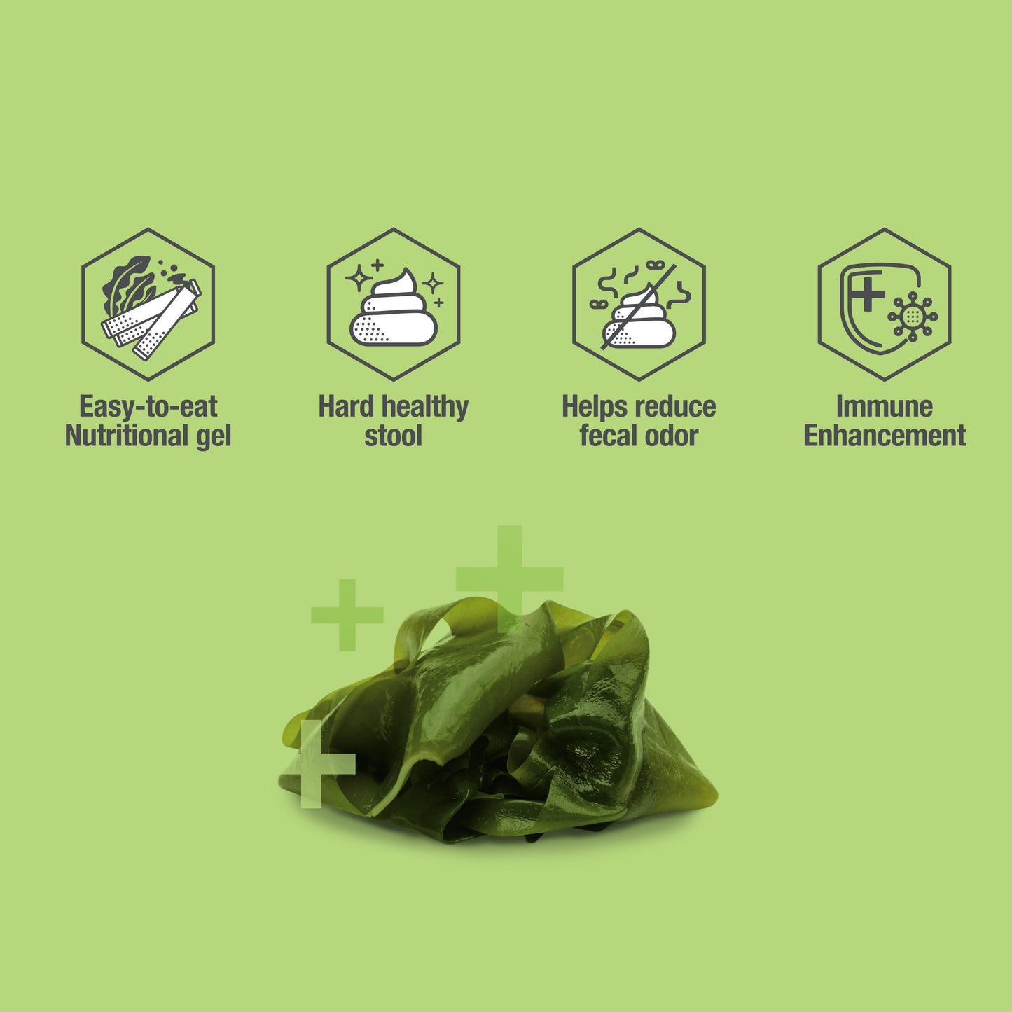 Fuco 051 Fucoidan Gel Treat for Dogs – Digestive, Immune & Stool Odor Support with Spirulina, Prebiotics & Seaweed Superfoods, Sugar-Free (10 Pack)