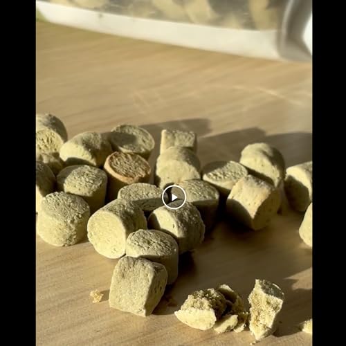 Fabrechew Fuco 051 Fucoidan Treat for Dogs – Immune & Digestive Health, Stool & Odor Support, Antioxidant, Superfood with Spirulina & Kelp, 5.29 oz (150g)