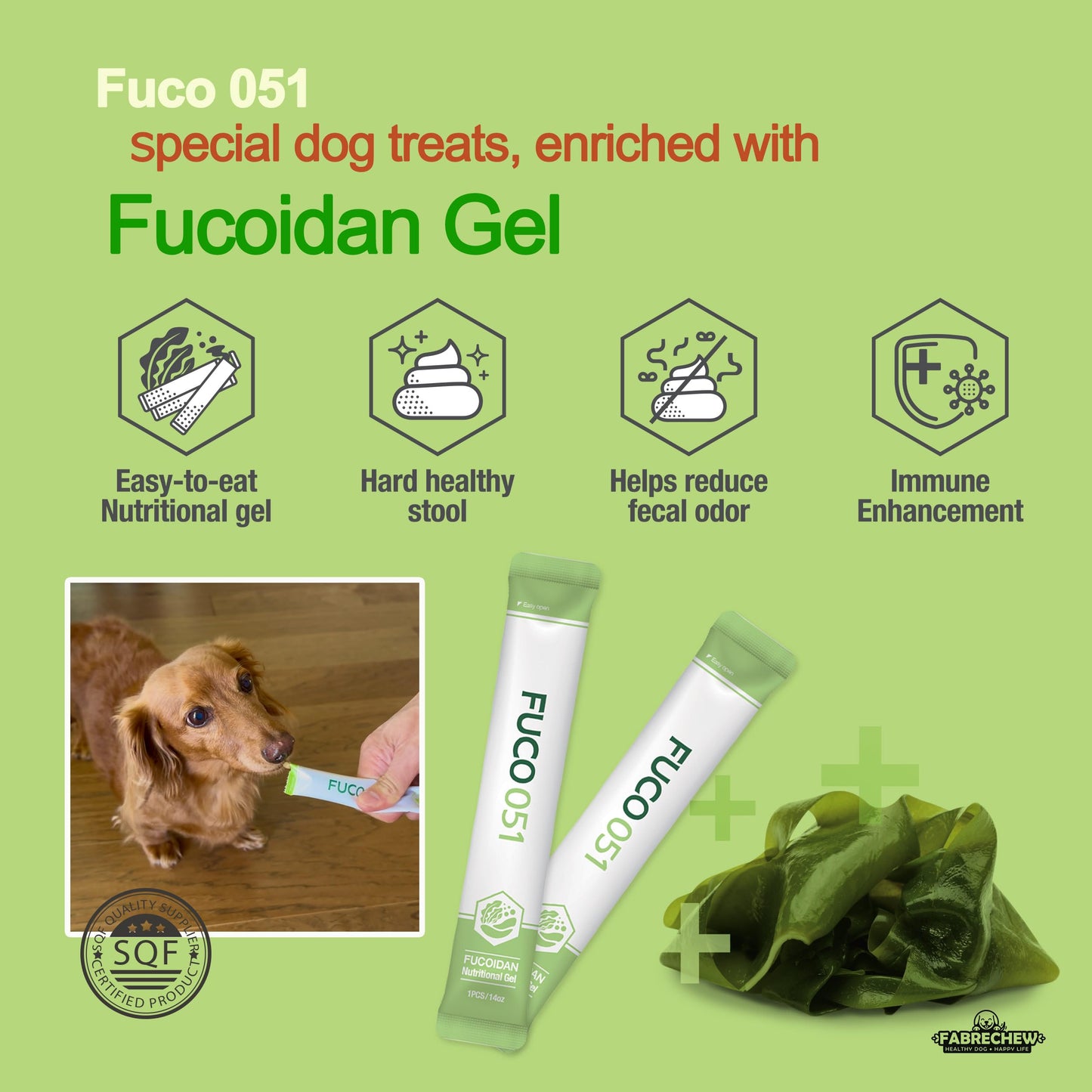 Fuco 051 Fucoidan Gel Treat for Dogs – Digestive, Immune & Stool Odor Support with Spirulina, Prebiotics & Seaweed Superfoods, Sugar-Free (10 Pack)
