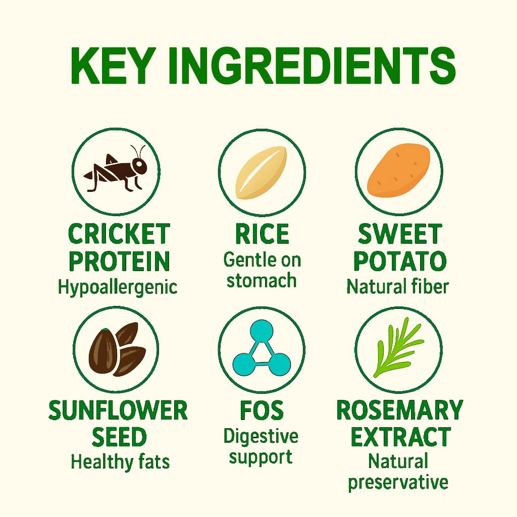 Fabrechew Cricket Protein Dog Treats – High-Protein Soft Dental Chews for Oral Health, Fresh Breath & Shiny Coat, Hypoallergenic, No Meat, Sensitive Dogs, Sustainable, (14 Pcs)