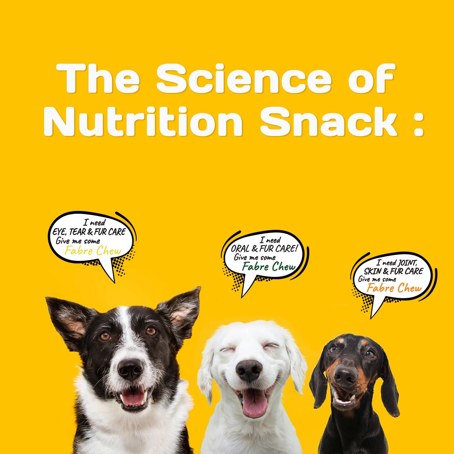 Fabrechew Cricket Protein Dog Treats : High-Protein Dental Chews for Fresh Breath, Hypoallergenic & Fur Health, No Meat, Sustainable, (14 Pcs)