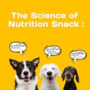 Picture of Fabrechew Orange - Joint, Skin & Fur Care with Two-Spotted Cricket Protein and Salmon (Meat-Free)