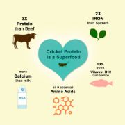 Picture of Fabrechew Orange - Joint, Skin & Fur Care with Two-Spotted Cricket Protein and Salmon (Meat-Free)