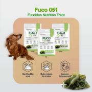 Picture of Fabrechew Fuco 051 - Fucoidan Dental Chew (Meat-Free)