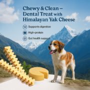 Picture of Fabrechew Ki-You Himalayan Yak Cheese - DENTAL CHEW